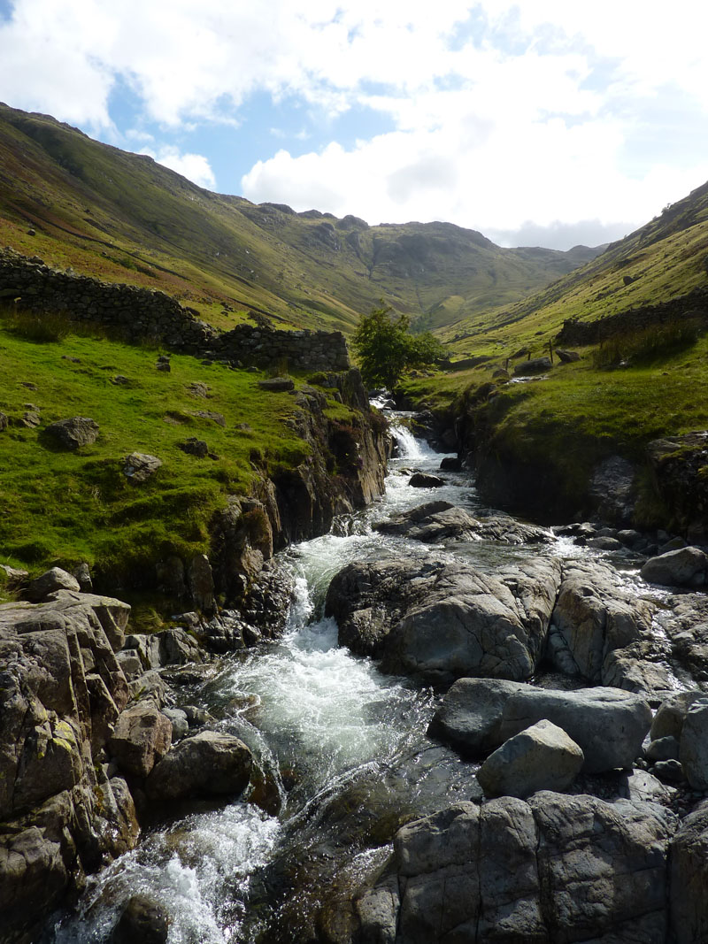 Grains Gill